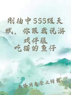 剛抽中SSS級(jí)天賦,你跟我說(shuō)游戲停服