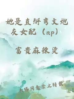 她是直掰彎文炮灰女配（np）