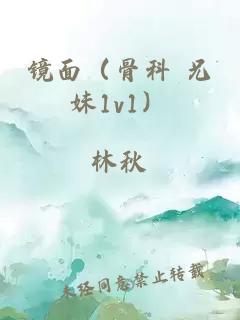 鏡面（骨科 兄妹1v1）