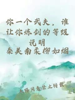 你一個武夫，誰讓你煉劍的等級說明