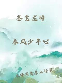 鑒寶龍瞳