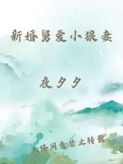 新婚舅愛小狼妻
