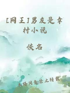 [網(wǎng)王]男友是幸村小說