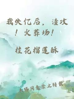 我失憶后，渣攻！火葬場！