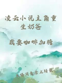 凌云小說主角重生奶爸