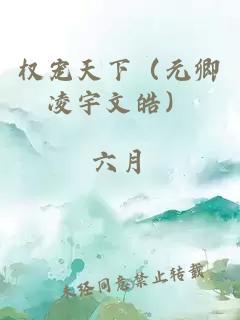 權寵天下(元卿凌宇文皓)