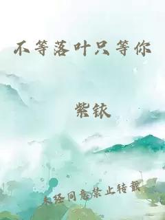 不等落葉只等你