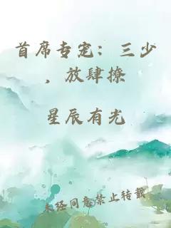 首席專寵:三少,放肆撩