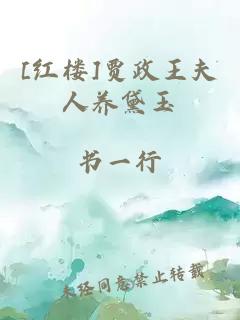 [紅樓]賈政王夫人養黛玉