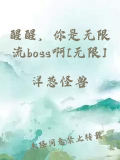醒醒，你是無限流boss啊[無限]