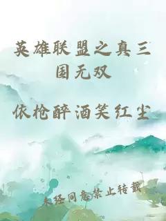 英雄聯(lián)盟之真三國(guó)無(wú)雙