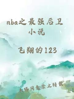 nba之最強后衛 小說