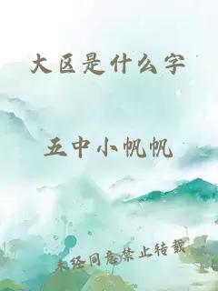大區是什么字