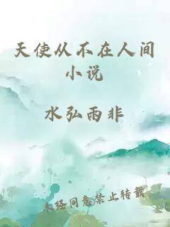 天使從不在人間小說