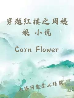 穿越紅樓之周姨娘 小說