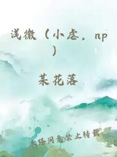淺微(小虐,np)