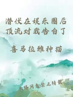 潛伏在娛樂圈后頂流對我告白了