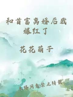 和首富離婚后我爆紅了