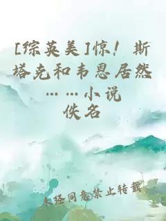 [綜英美]驚！斯塔克和韋恩居然……小說