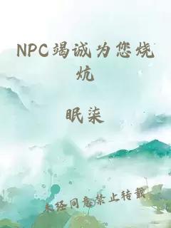 NPC竭誠為您燒炕