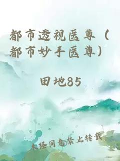 都市透視醫尊（都市妙手醫尊）