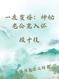 一夜蜜婚：神秘老公寵入懷